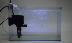 每日科普一泵:如何挑選合適的魚缸水泵?